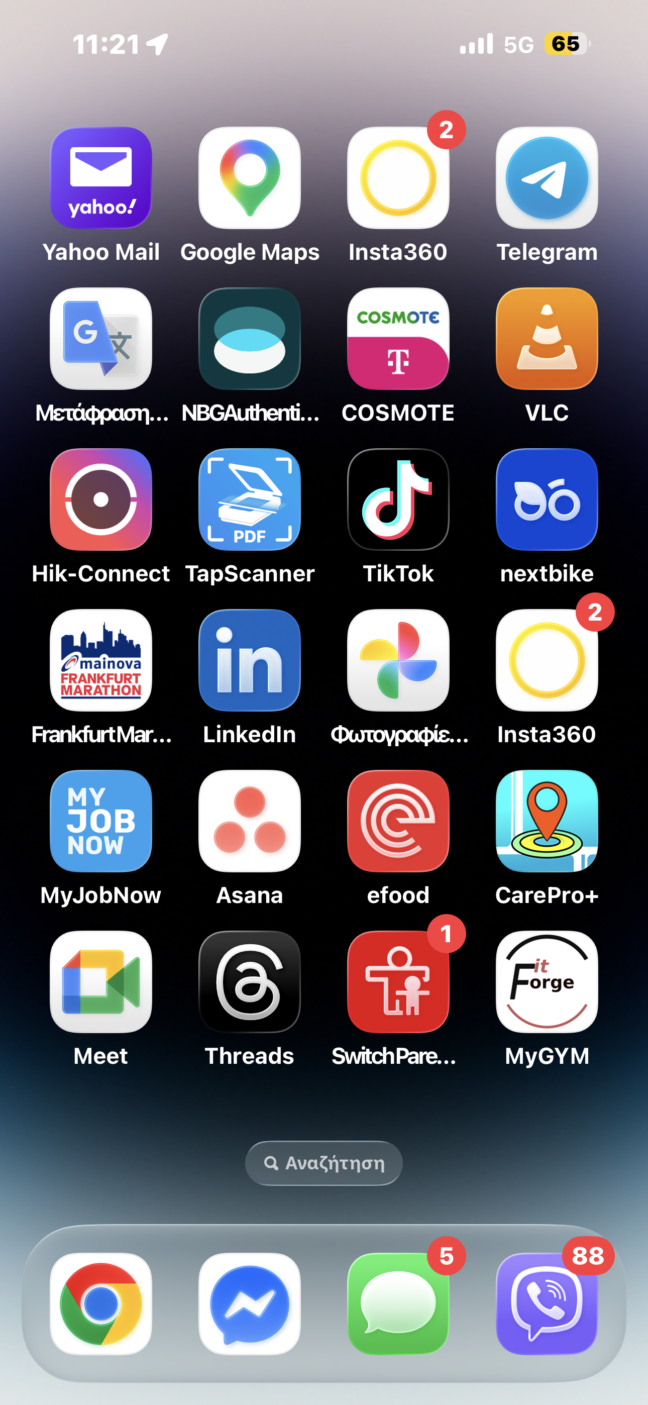 MyGYM branded app στην αρχική οθόνη iPhone — Fitforge PWA